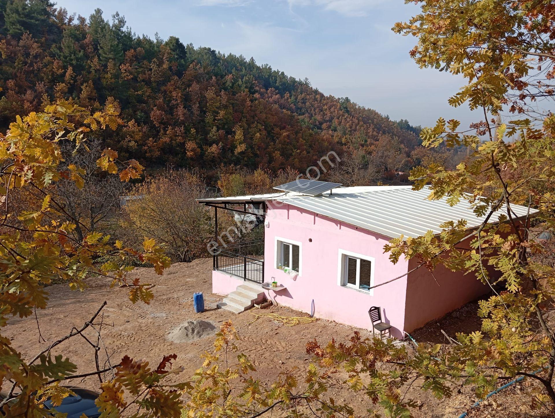 Turgutlu Satılık Dağyeniköy Mah 821m2 Bağ Bahçe İçinde 2+1 Ev Ve Meyve Ağaçları Vardır - Görsel 9