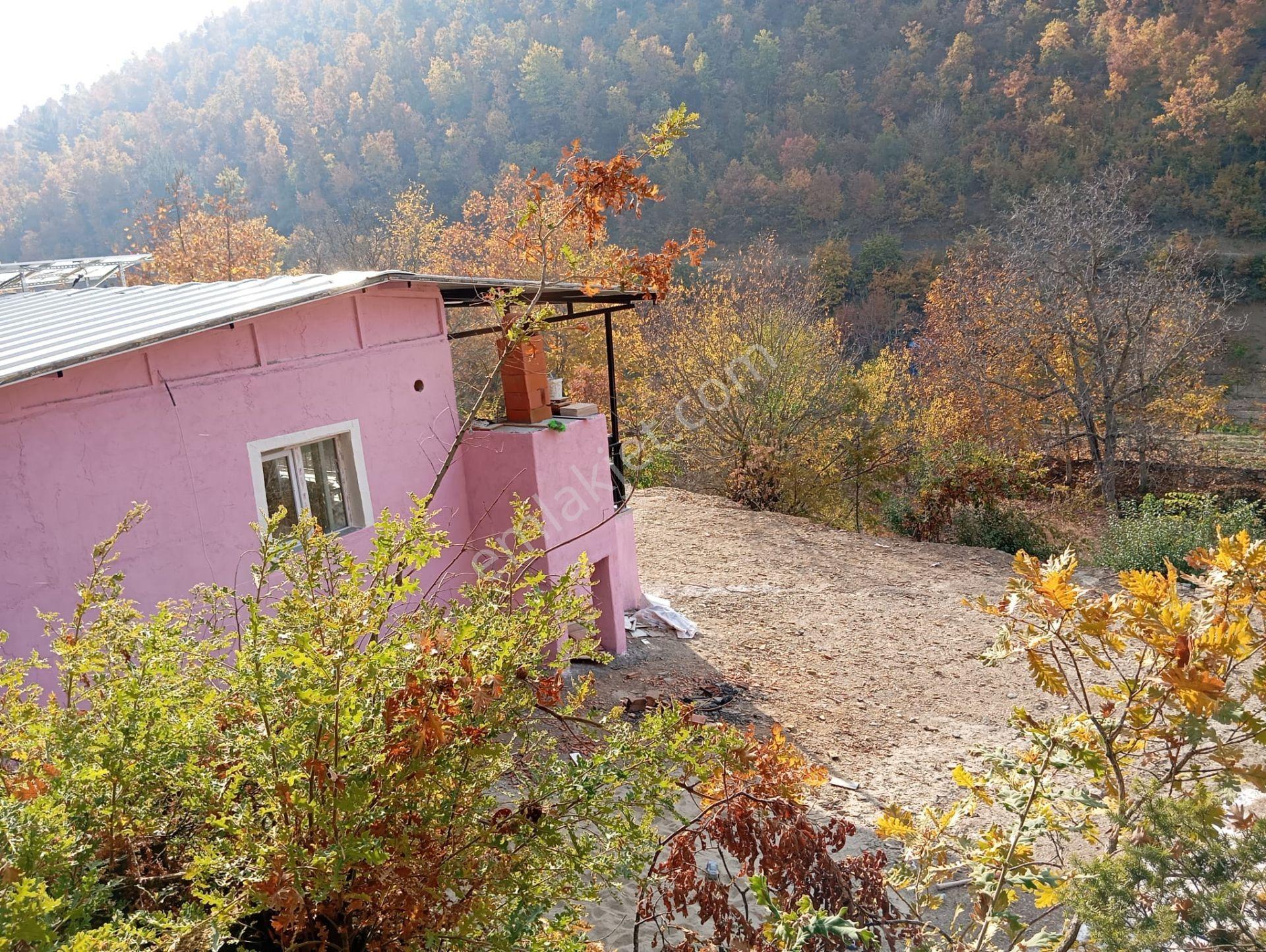 Turgutlu Satılık Dağyeniköy Mah 821m2 Bağ Bahçe İçinde 2+1 Ev Ve Meyve Ağaçları Vardır - Görsel 8