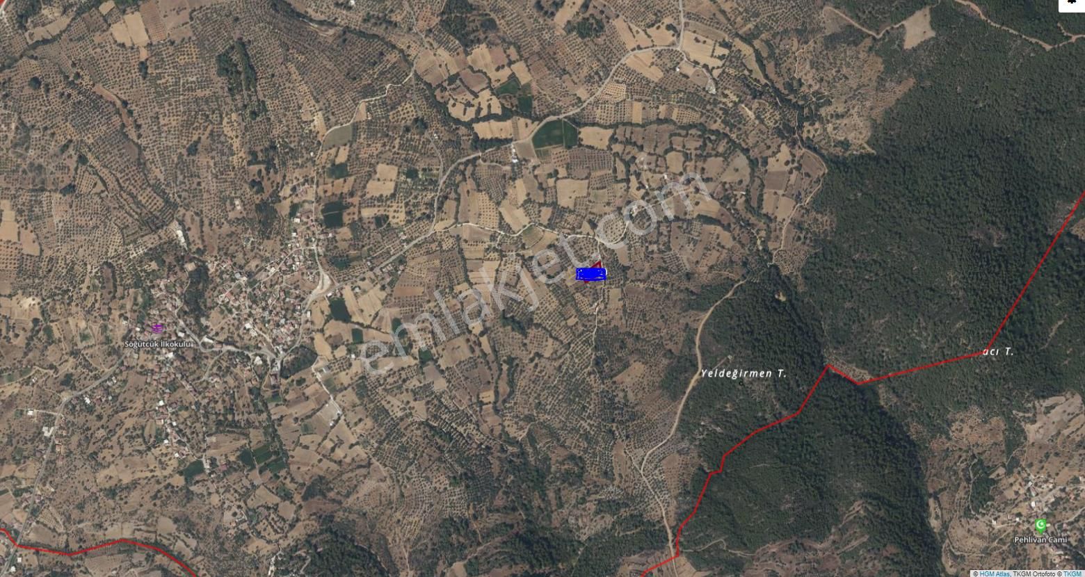 Muğla Milas Söğütçük Te 1.300 M2 Zeytinlik Yola Sıfır İçinde 1 Adet Konteynir Mevcut