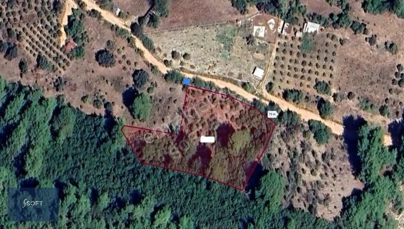 Yatırımlık 4450 M 2 Yolu Olan Satılık Arsa | Soft Emlak - Görsel 2