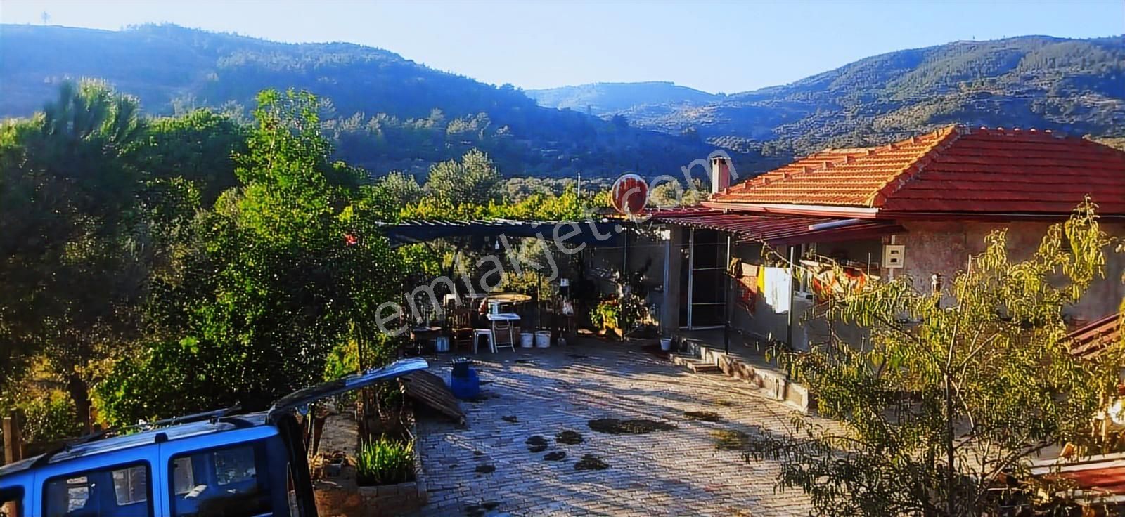 İzmir Selçuk Havutçulu Satılık 9726 M2 Zeytinlik Ve 2+1 Daire - Görsel 24