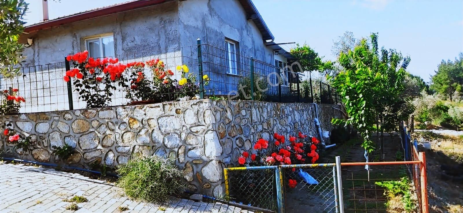 İzmir Selçuk Havutçulu Satılık 9726 M2 Zeytinlik Ve 2+1 Daire - Görsel 28