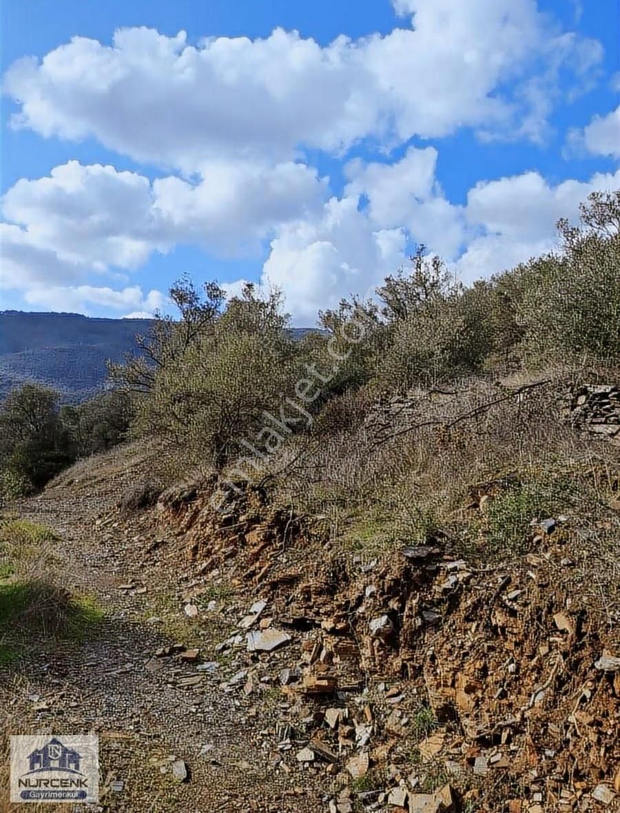 İzmir Bayındır Çamlıbel 19870m2 Ağaç Zeytinlik Acil Satılıkdır - Görsel 2
