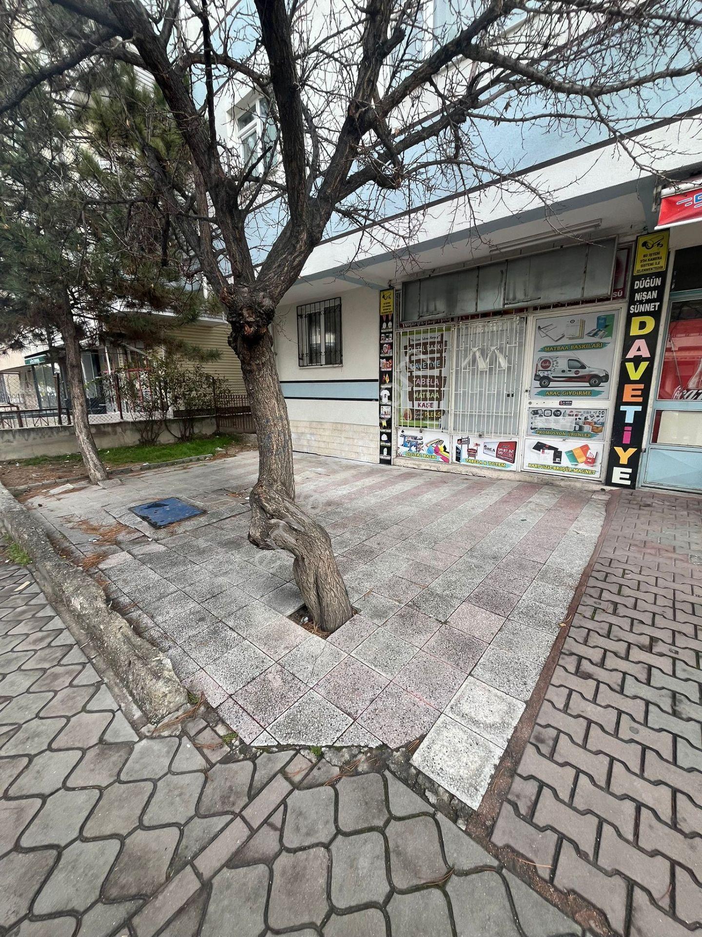 Mç Emlak'tan Plevne Mahallesin'de Satılık Dükkan - Görsel 6