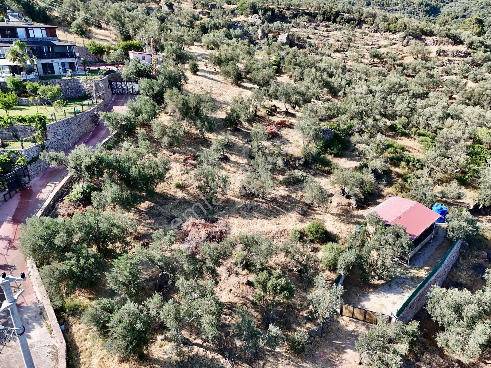 Akçay Aras Emlaktan Sazlıda Deniz Ve Doğa Manzaralı 8228 M² Zeytinlik - Görsel 34