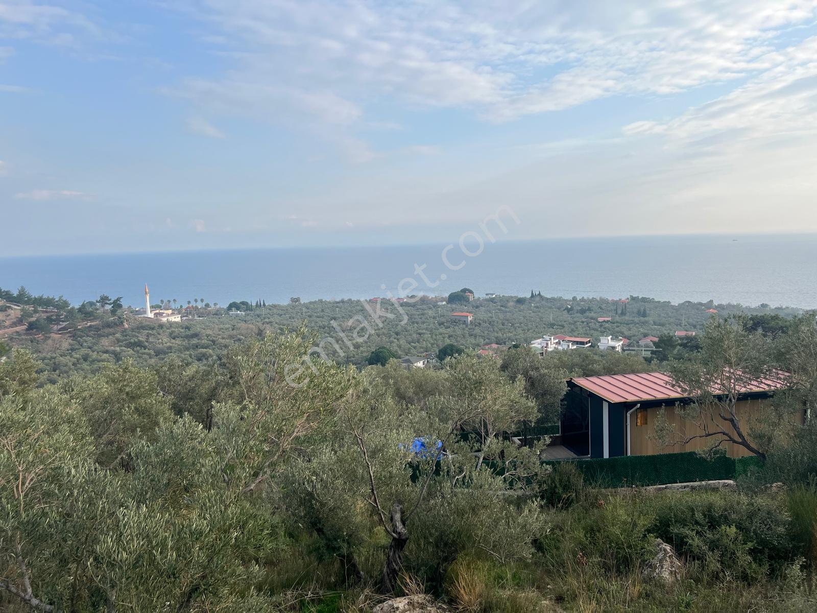 Akçay Aras Emlaktan Sazlıda Deniz Ve Doğa Manzaralı 8228 M² Zeytinlik - Görsel 25