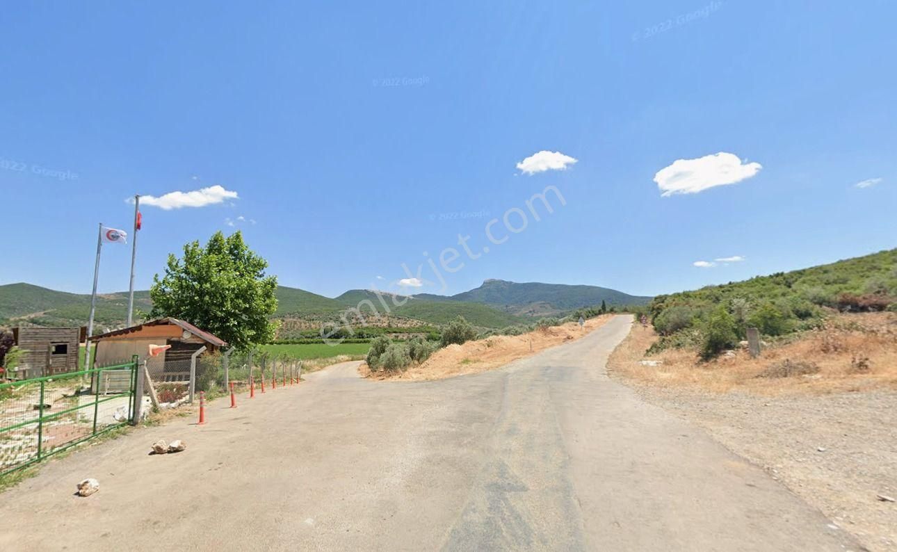 Torbalı Ahmetlide Kadastral Yol- Köy İçi Civarı Fırsat Zeytinlik - Görsel 3