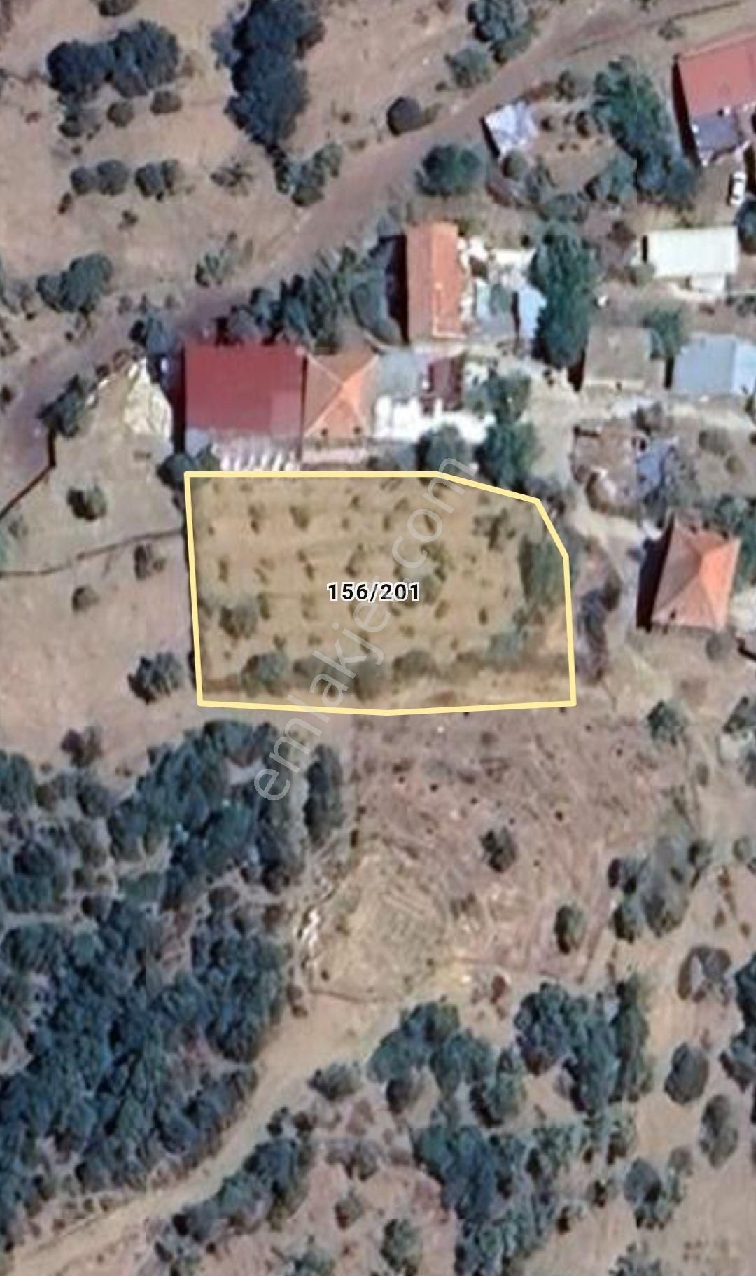 Doğa Gayrimenkul'den İzmirin Çiçek Diyarı Bayındır'da Köy Civarı Kaçırılmayacak İncir Bahçesi - Görsel 7