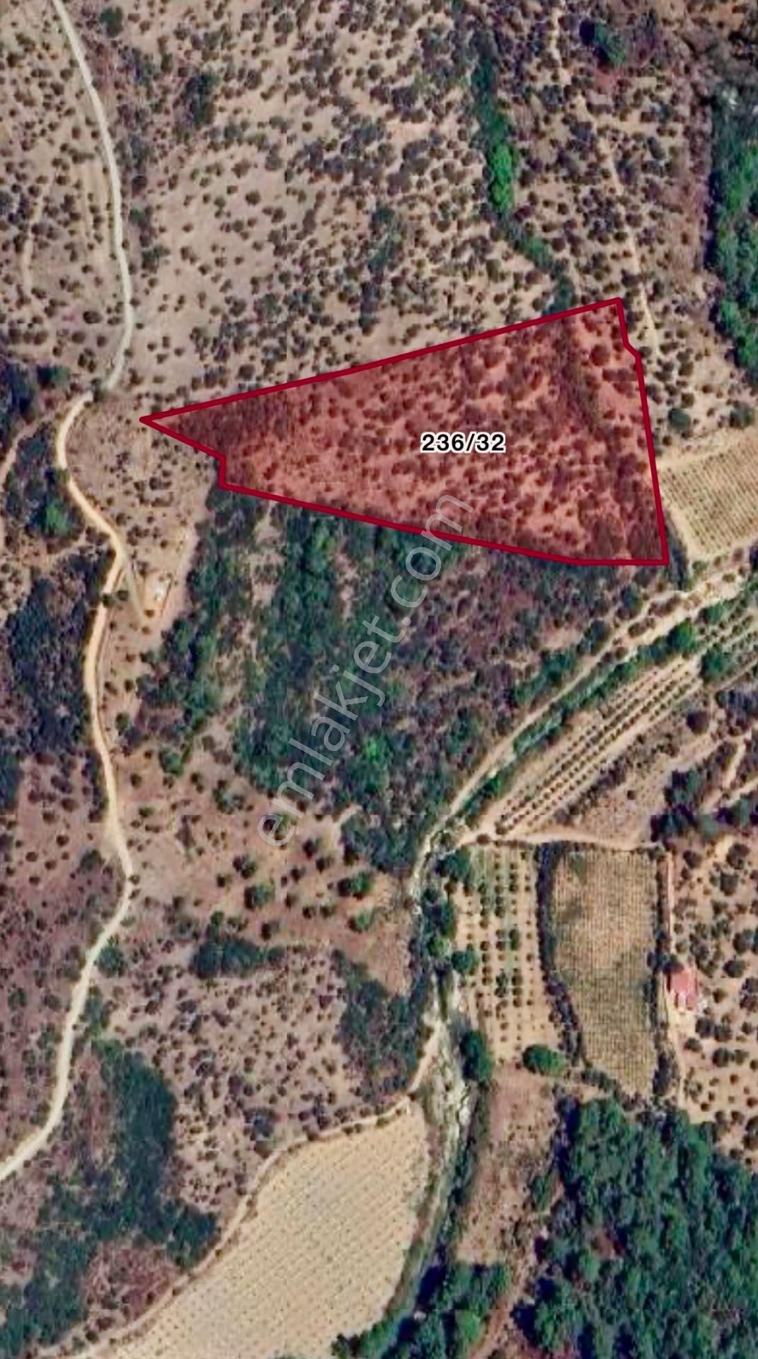 Seferihisar Beyler De Takasa Açık 18.832m2 Zeytinlik - Görsel 2