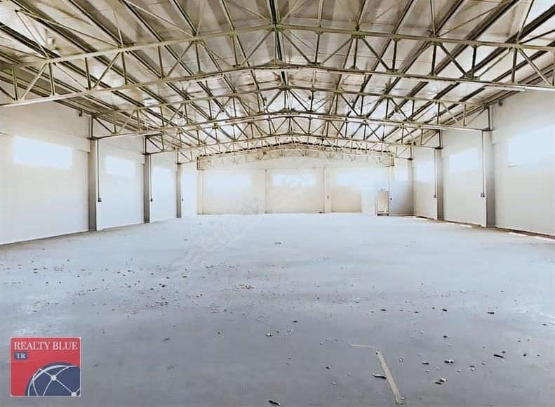 Gebze Pelitli 1000 M2 Kolonsuz Depo