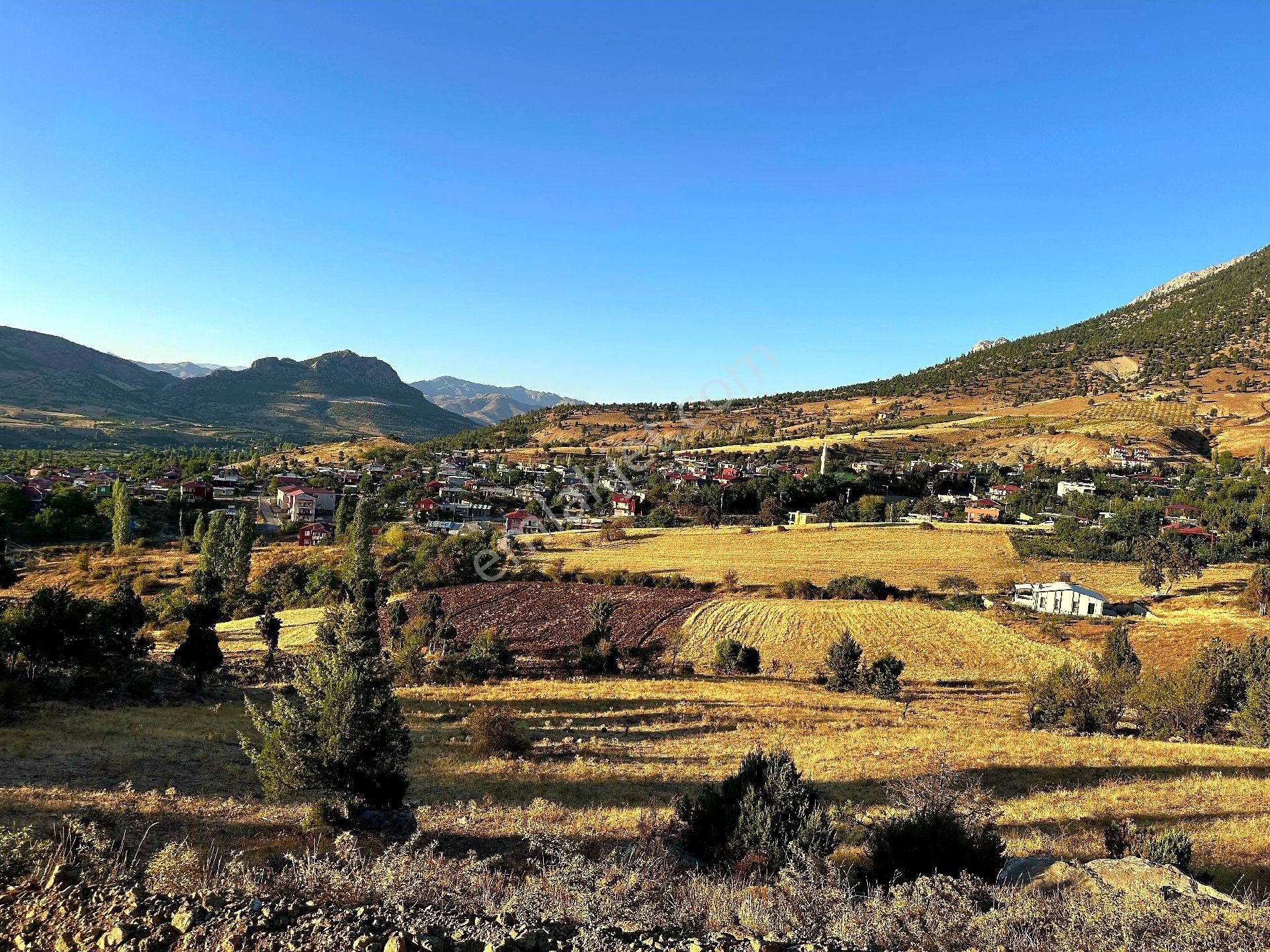 Pozantı Hamidiye Köy Civarı Satılık Tek