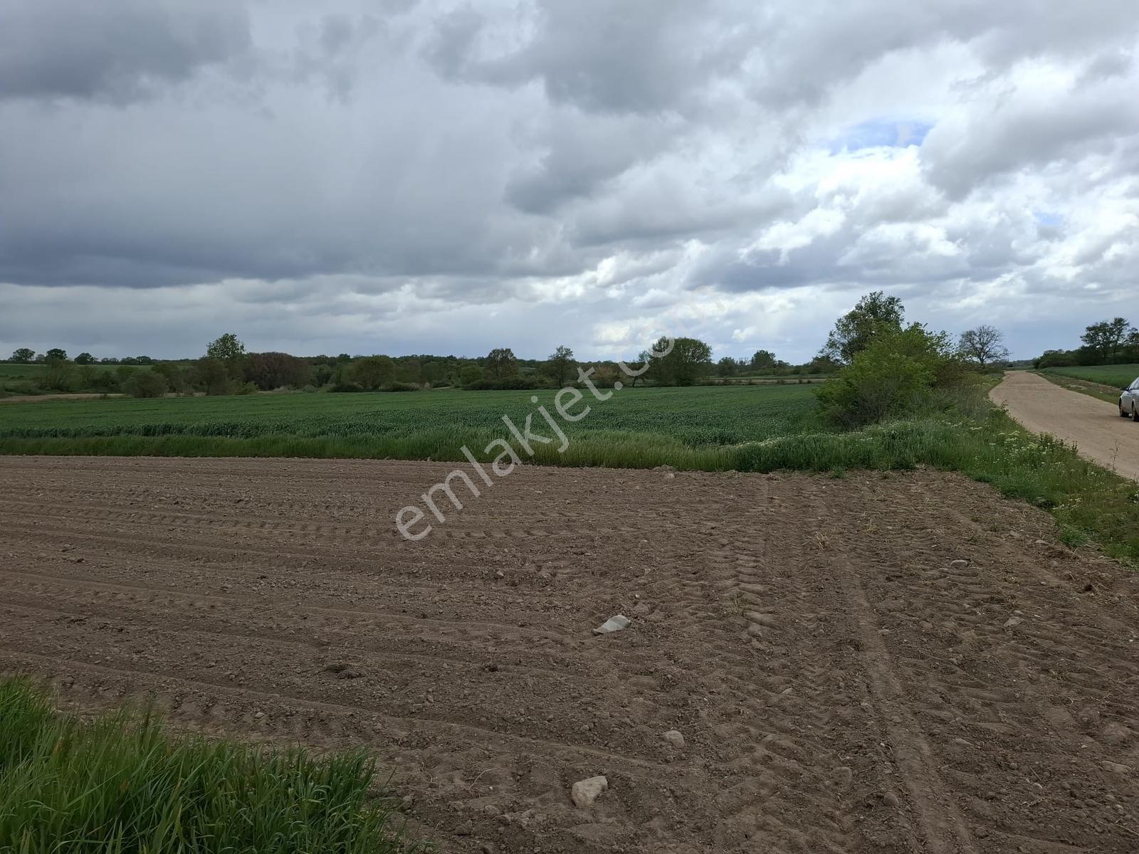 Kırklareli Üsküpdere'de Satılık 2744m² Tarla (osb Yakını) - Görsel 5