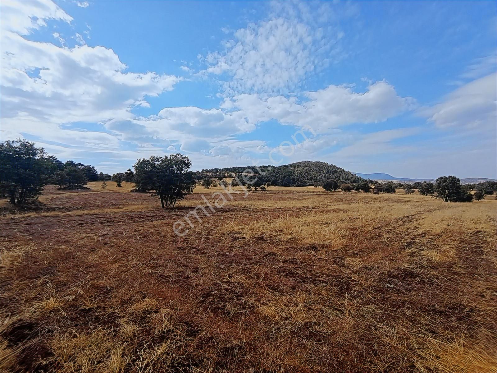 Denizli Çardakta 3.162m² Tek Tapu Uzun Vadeli Yatırımlık Tarla