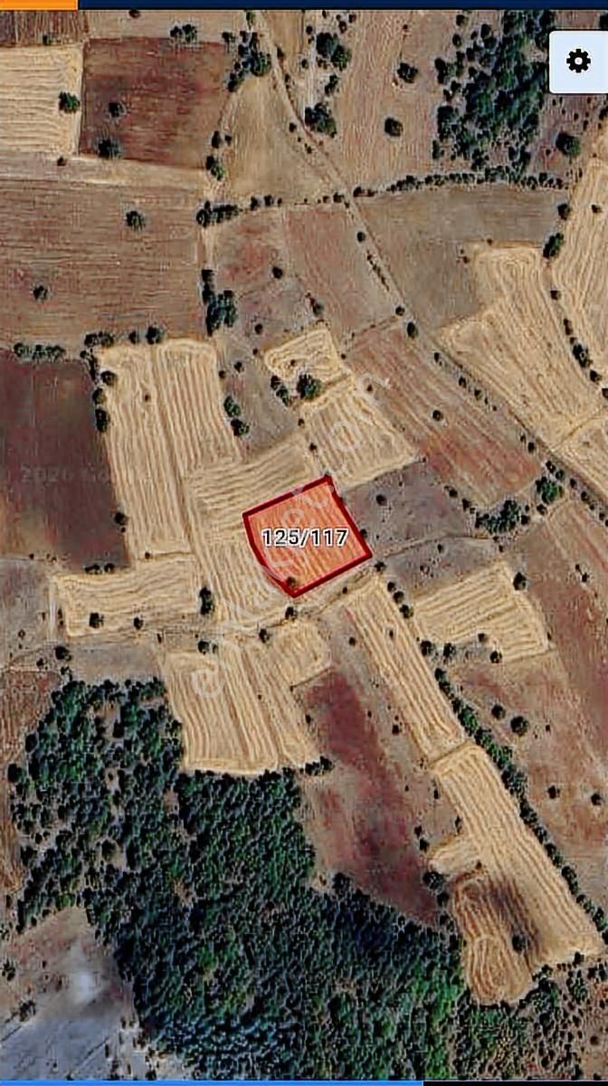 Denizli Çardakta 3.162m² Tek Tapu Uzun Vadeli Yatırımlık Tarla - Görsel 8