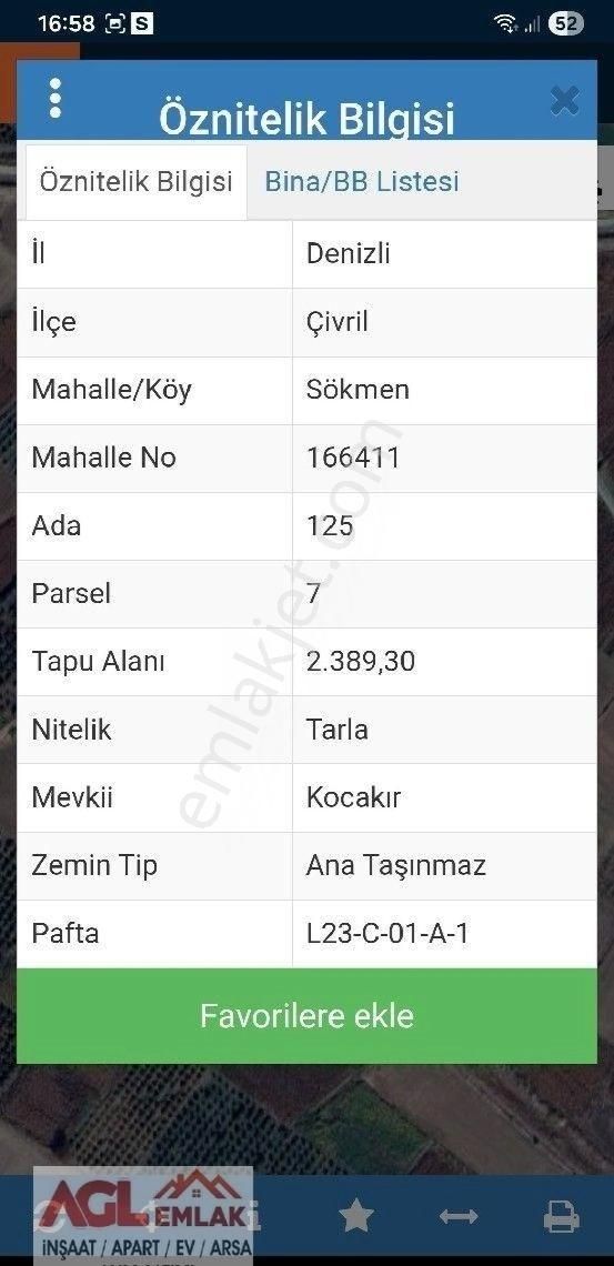 Çivril Sökmen Köyünde 5640m2. 17 Yaşında Bakımlı Elma Bahçesi - Görsel 3