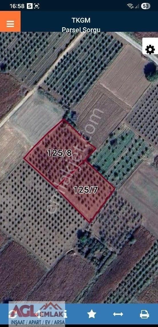 Çivril Sökmen Köyünde 5640m2. 17 Yaşında Bakımlı Elma Bahçesi