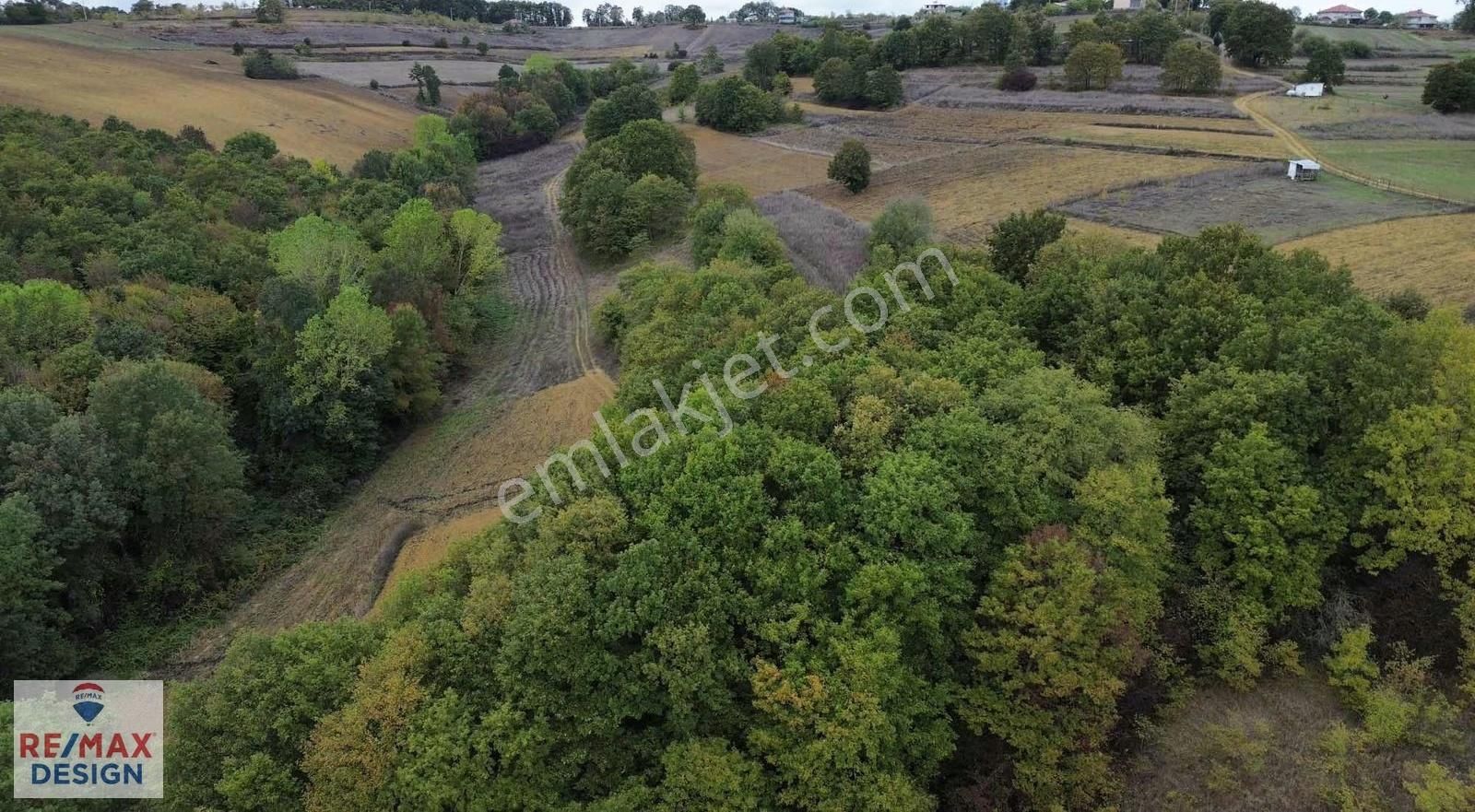 Yatırıma Uygun Tarla Tiny House Uygun Işıklar Mah. Remax Desıgn - Görsel 5