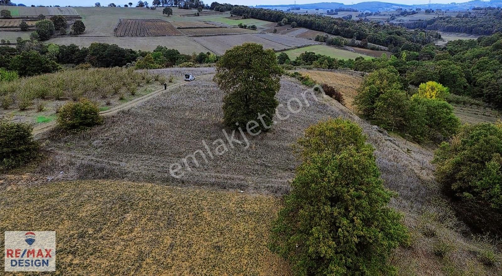 Yatırıma Uygun Tarla Tiny House Uygun Işıklar Mah. Remax Desıgn - Görsel 2