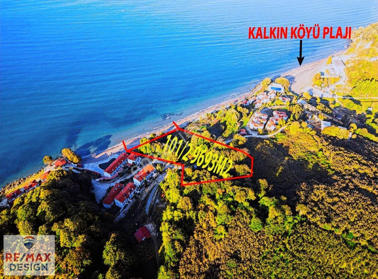 Remax Desıgn Düzce Akçakoca Denize Sıfır Arsa - Görsel 10
