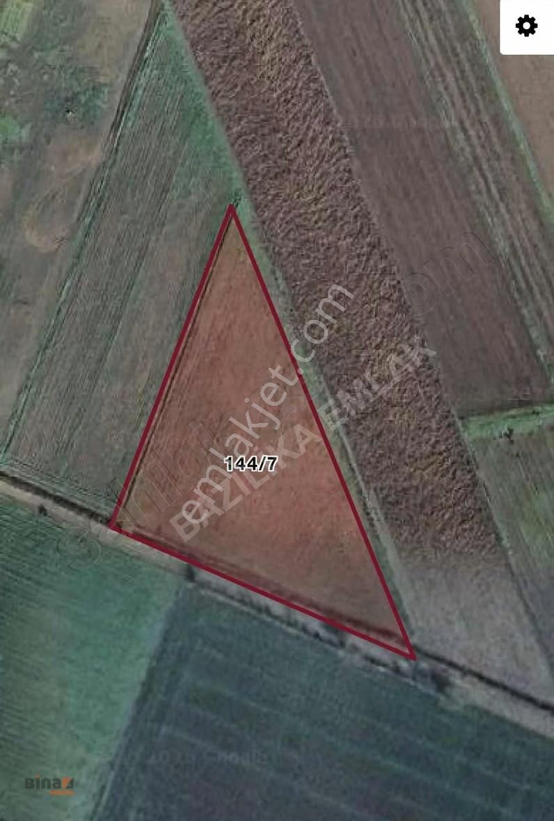 Bergama'ya Yakın 6022 M² Satılık Tarla - Yatırım Fırsatı - Görsel 2