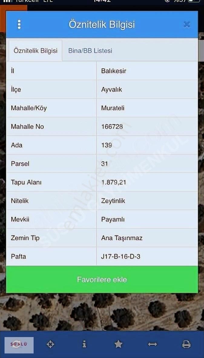 Ayvalik Muratelinde Satılık Zeytinlik - Görsel 3