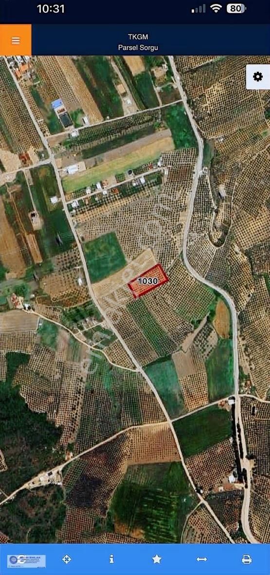 Bursa Mudanya Mürselde Şehir Hast. 3,5 Km Satılık Tarla 5000m2 - Görsel 2