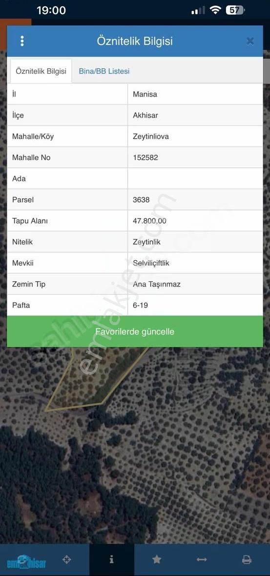 Akhisar Zeytinliova'da Elektrik Sulu Satılık 48 Dönüm Zeytinlik - Görsel 2