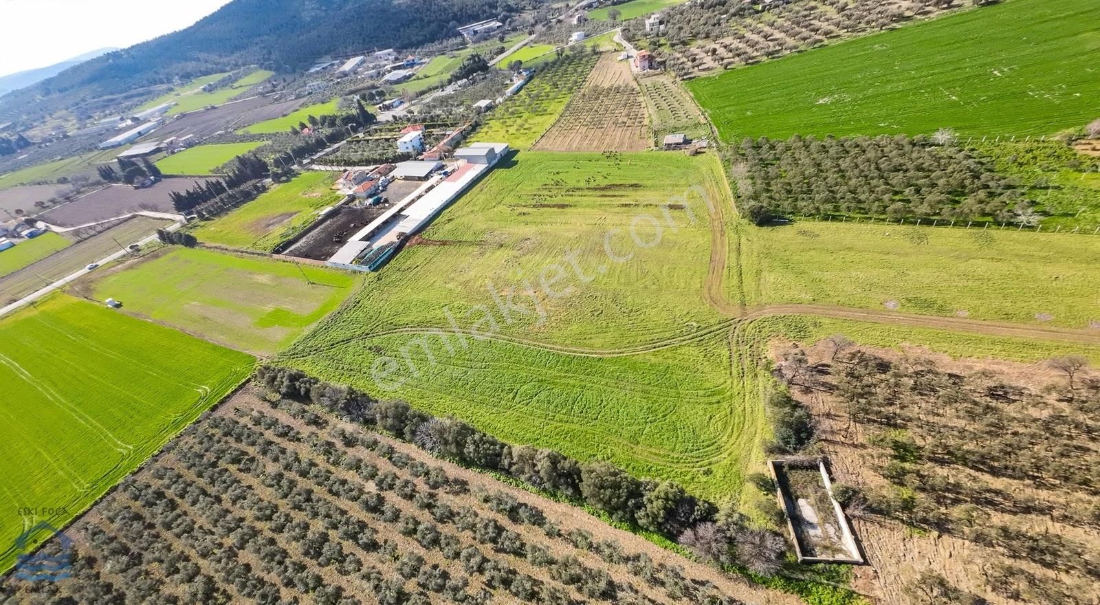 Ilıpınar'da 11.817 M2 Satılık Tarla