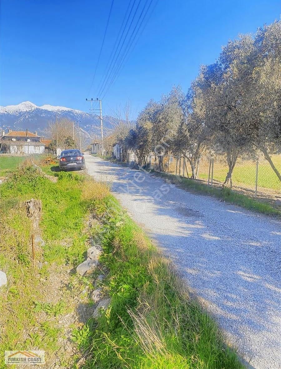 İçinde Kayıtlı Kargır Ev Bulunan Yola Sıfır Tarla - Görsel 5