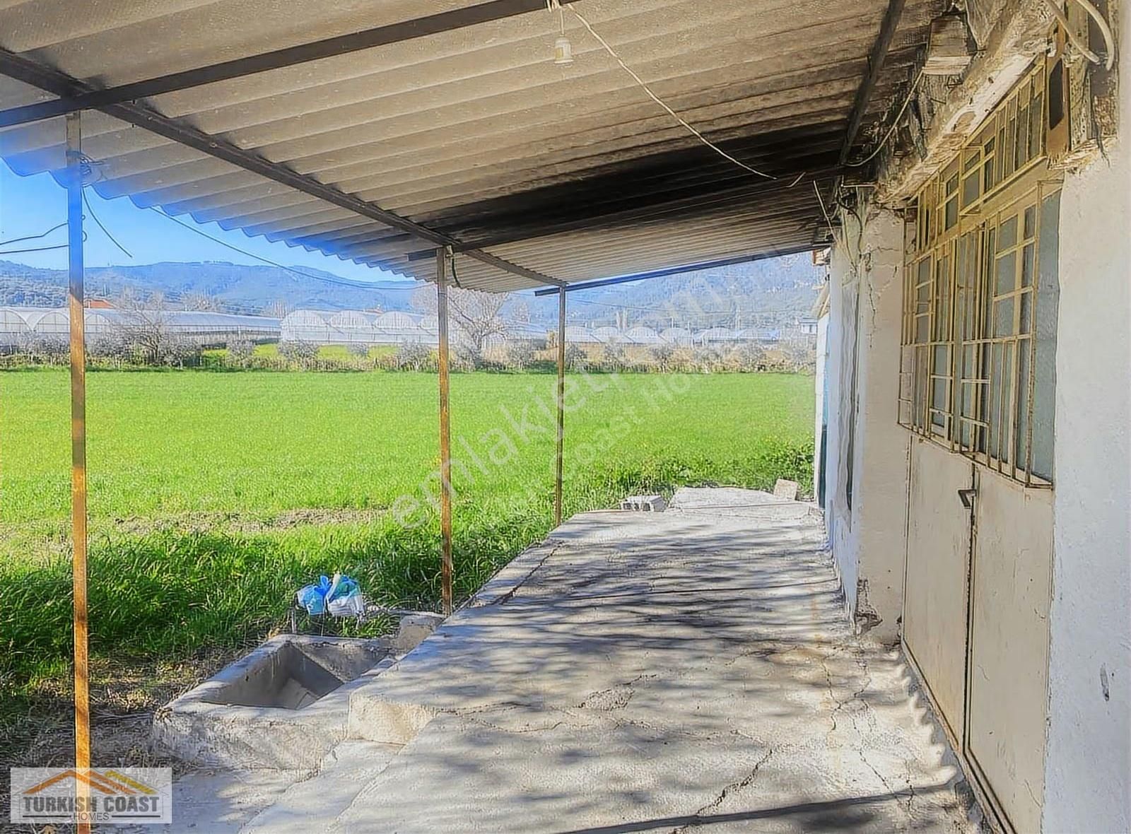 İçinde Kayıtlı Kargır Ev Bulunan Yola Sıfır Tarla - Görsel 6