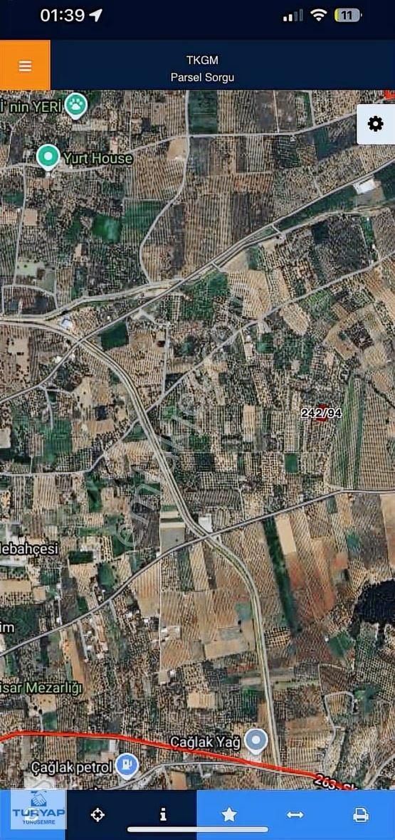 Turyap'tan Akhisar Efendi'de Satılık Müstakil Tapu Zeytinlik