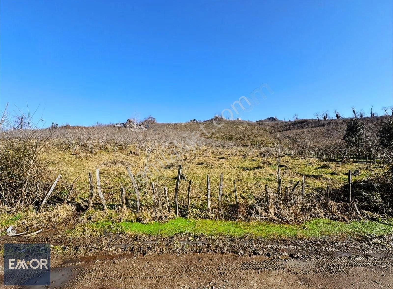 Emor Dan Yukarıtepe De 1930 M2 Satılık Arazi - Görsel 9