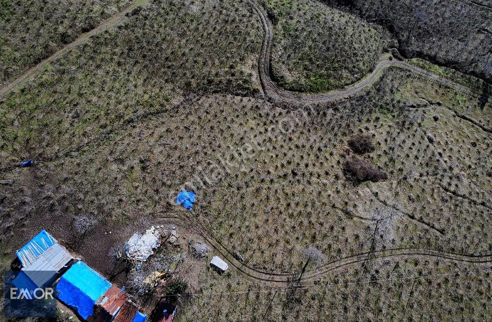 Emor Dan Yukarıtepe De 1930 M2 Satılık Arazi - Görsel 14