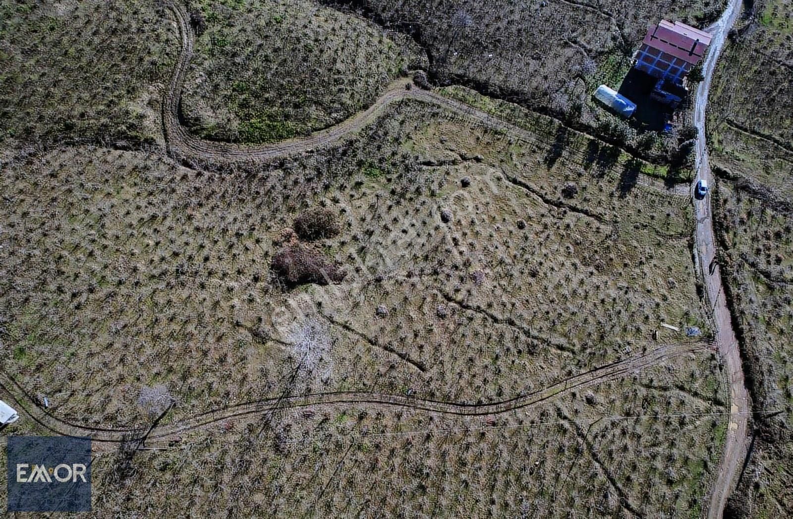 Emor Dan Yukarıtepe De 1930 M2 Satılık Arazi - Görsel 2