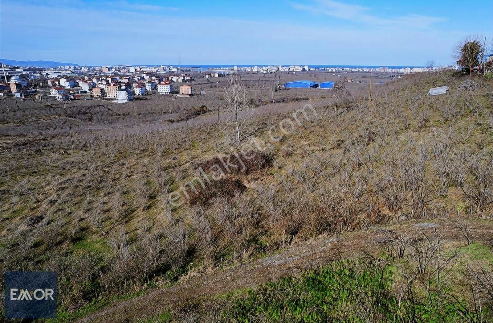 Emor Dan Yukarıtepe De 1930 M2 Satılık Arazi - Görsel 4