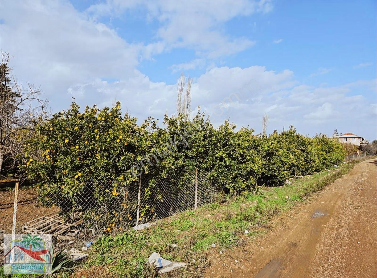 Tomalar'da Satılık 700 M2 Villa Arsası - Görsel 2
