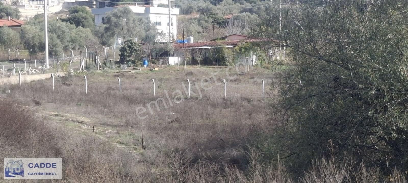 Kuşadası Kirazlı Anayola Yakın Malıkane Yapımına Uygun Arsa - Görsel 5