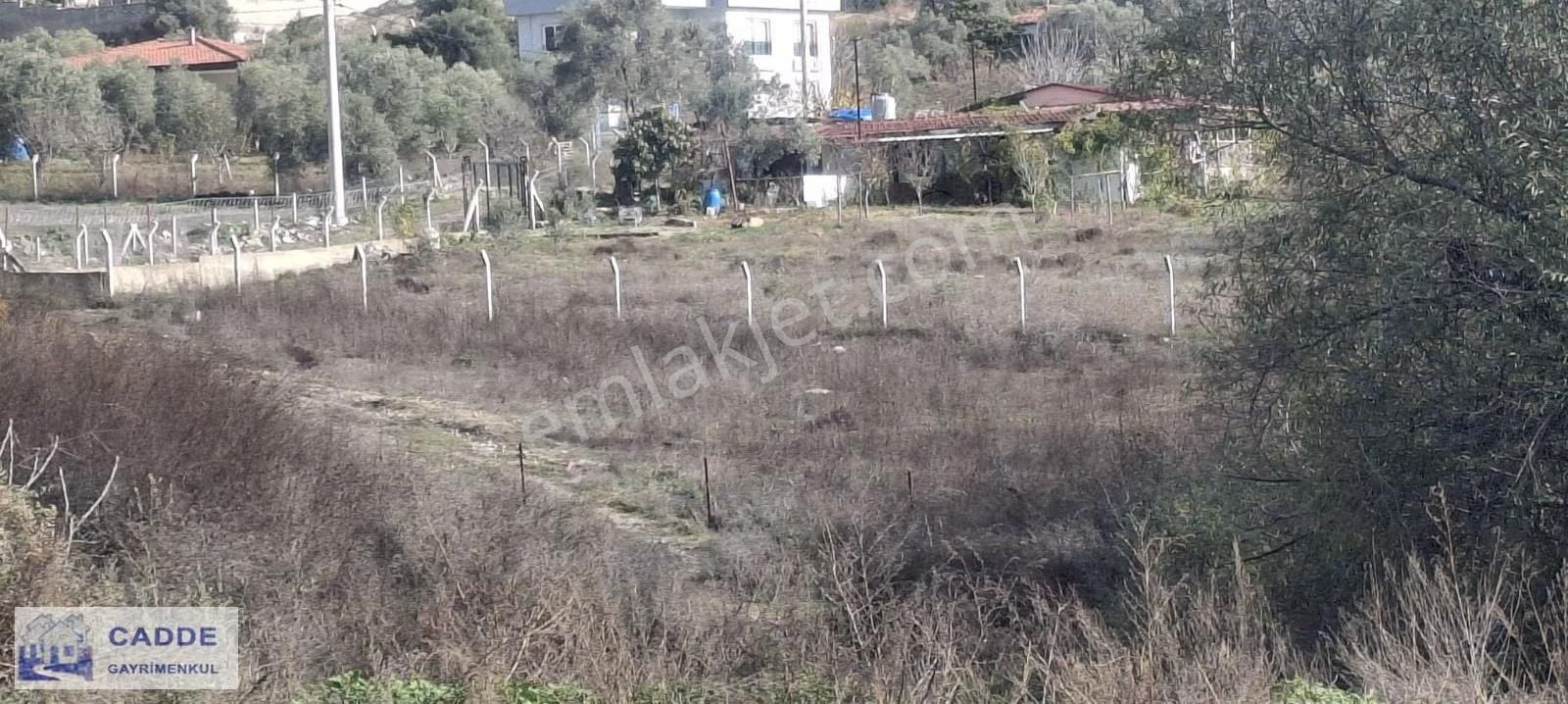 Kuşadası Kirazlı Anayola Yakın Malıkane Yapımına Uygun Arsa - Görsel 2