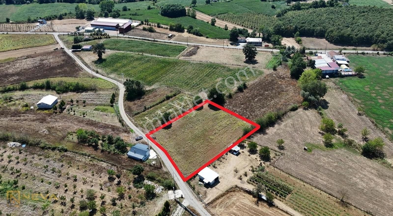 Adapazarı Aşırlar Mah. Satılık 2970 M2 Resmi Yol Üzeri Tarla - Görsel 2