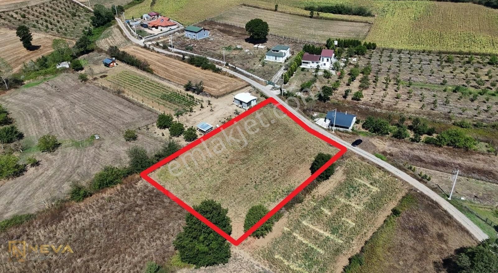 Adapazarı Aşırlar Mah. Satılık 2970 M2 Resmi Yol Üzeri Tarla - Görsel 3