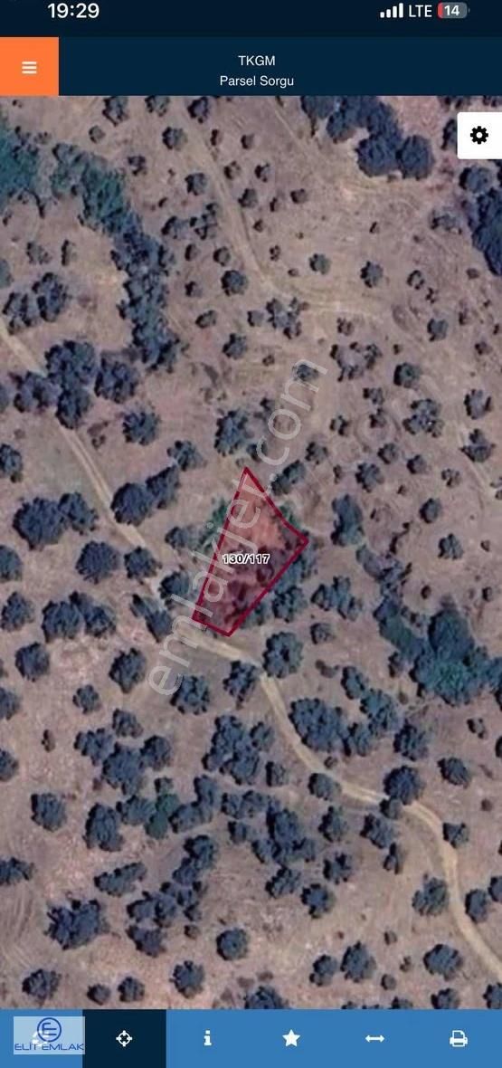 Aydın Sultanhisarda Satılık Arazi