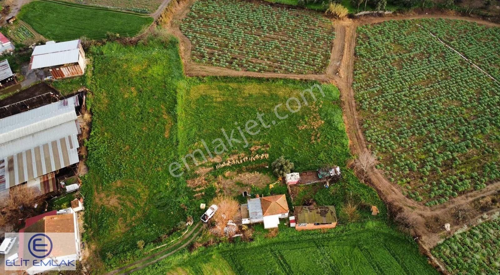 Aydın Şahnalı Müstakil Ev Ve Geniş Arazi - Görsel 3