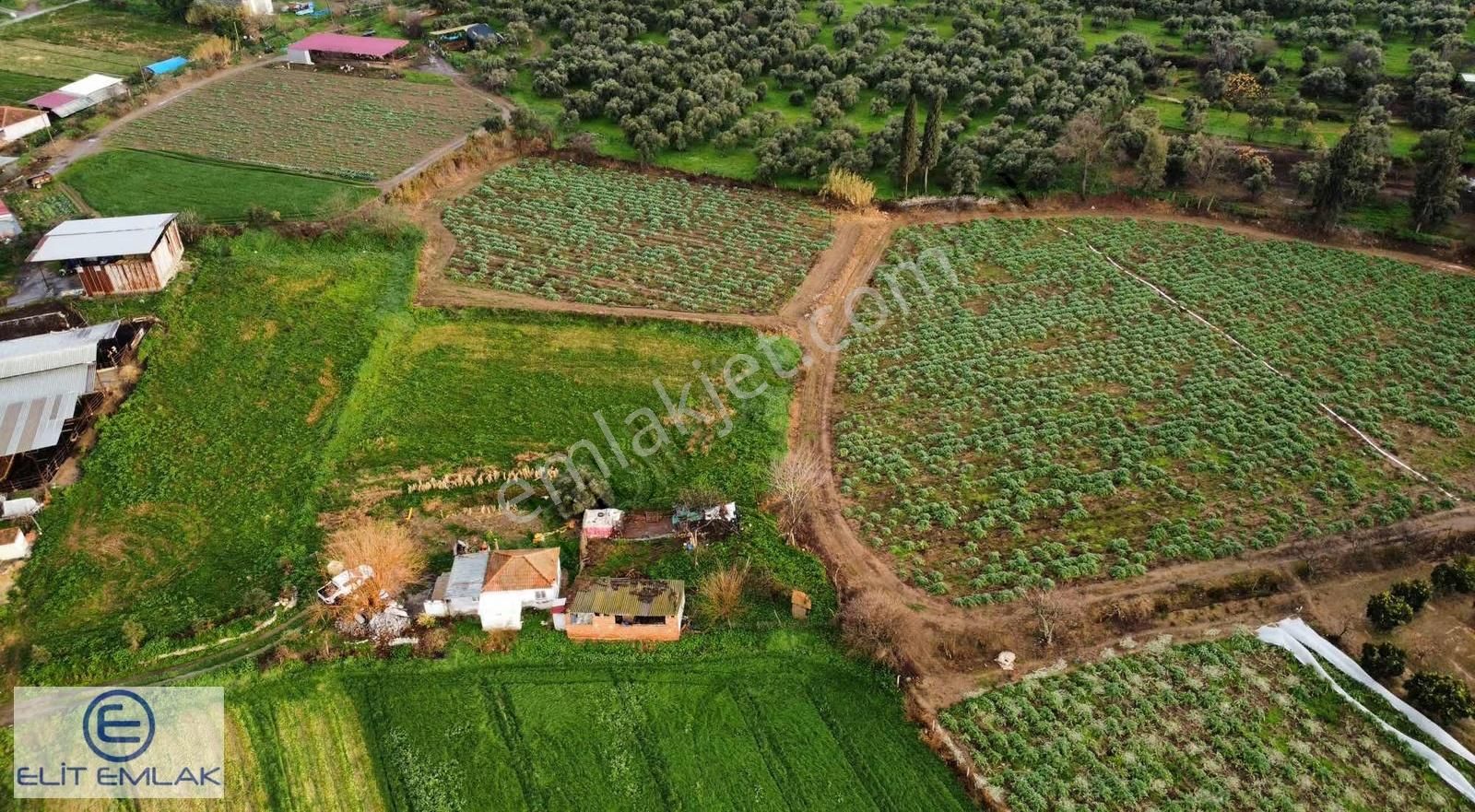 Aydın Şahnalı Müstakil Ev Ve Geniş Arazi