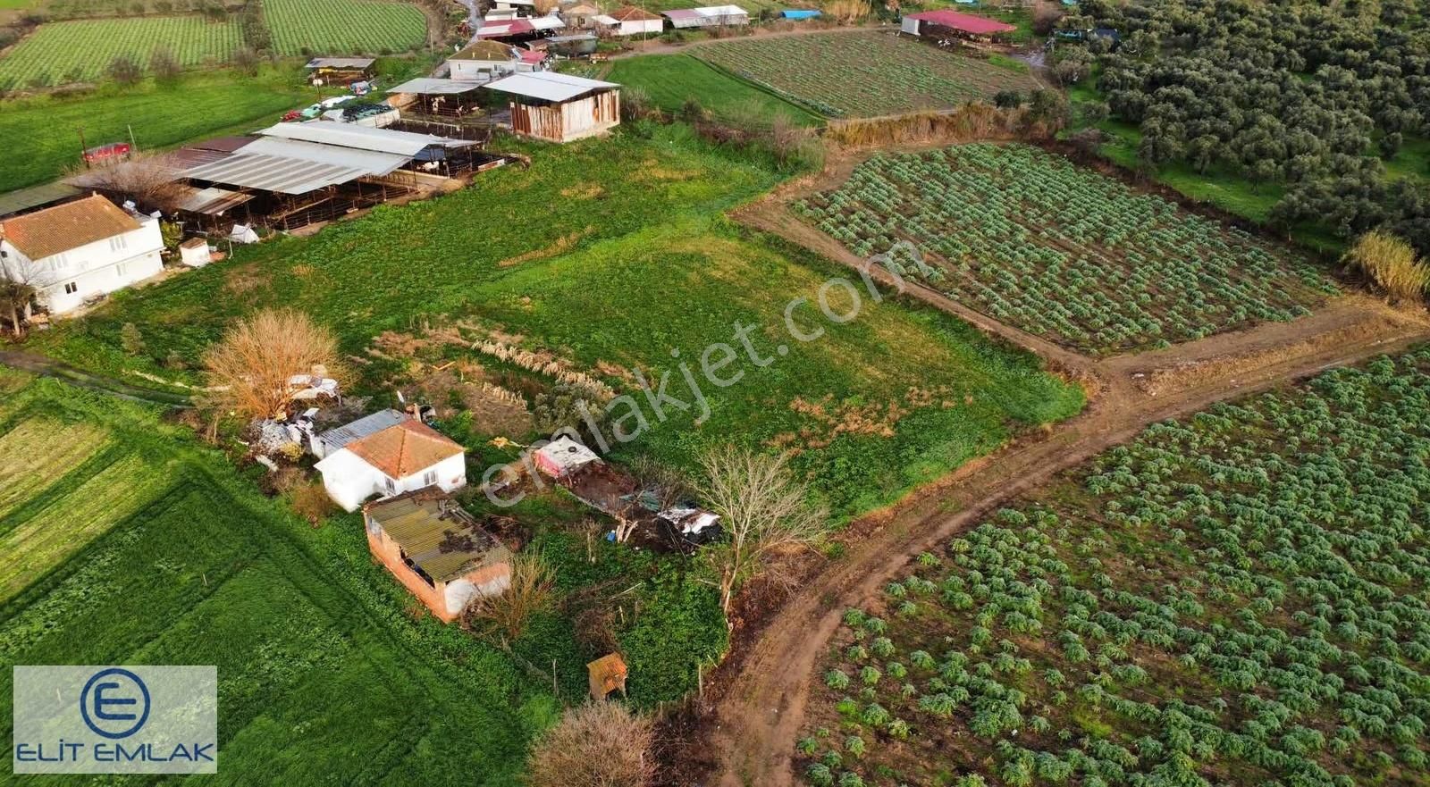 Aydın Şahnalı Müstakil Ev Ve Geniş Arazi - Görsel 2