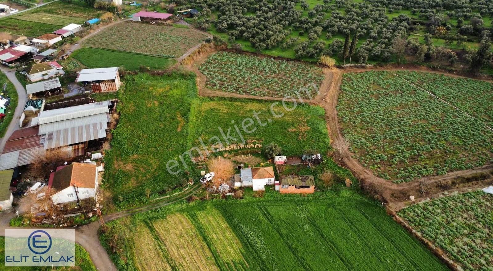 Aydın Şahnalı Müstakil Ev Ve Geniş Arazi - Görsel 5