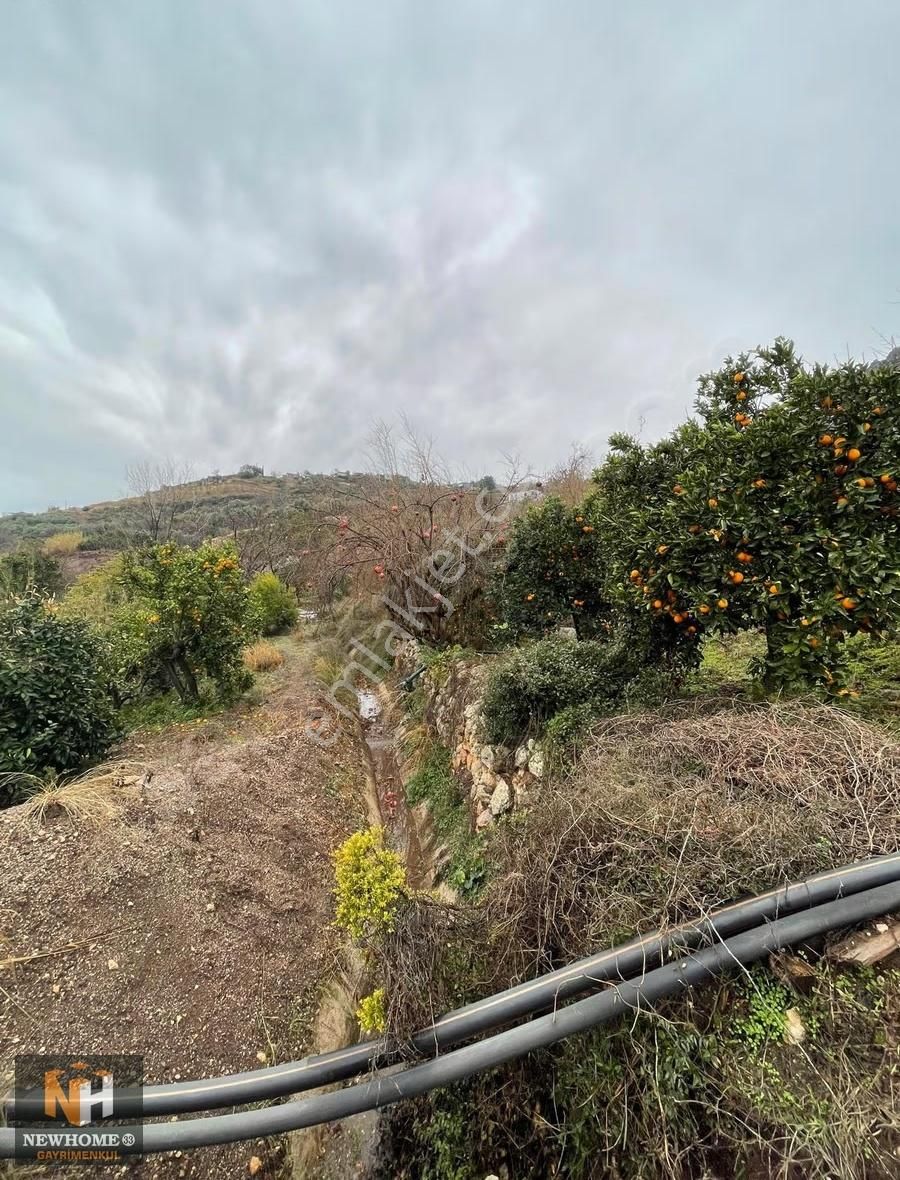 Yenişehir Uzunkaş Mah.de 3818m2 Tek Tapu Bahçe - Görsel 2