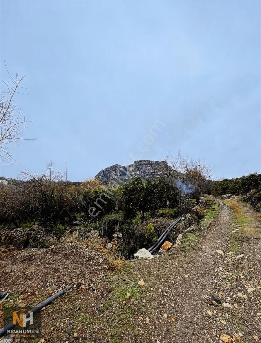 Yenişehir Uzunkaş Mah.de 3818m2 Tek Tapu Bahçe - Görsel 5