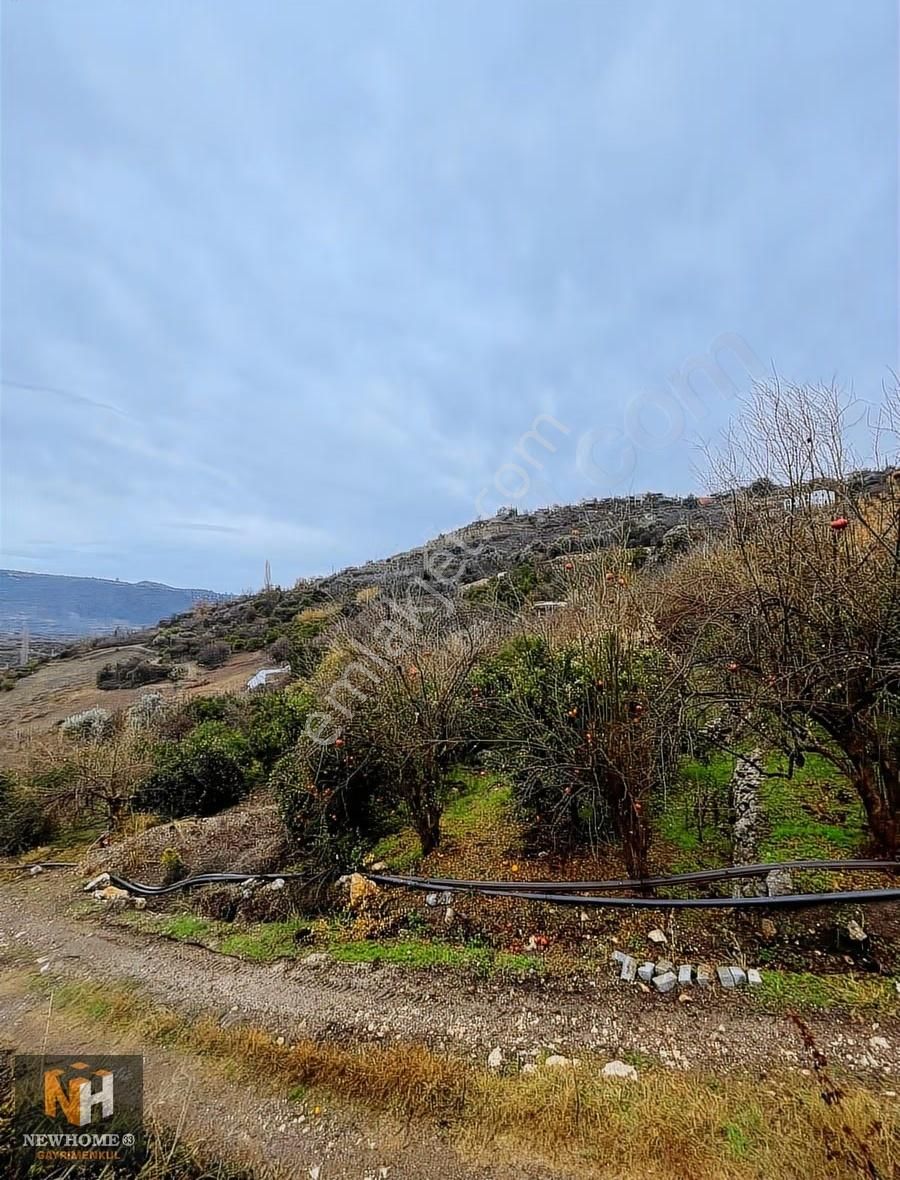 Yenişehir Uzunkaş Mah.de 3818m2 Tek Tapu Bahçe - Görsel 10