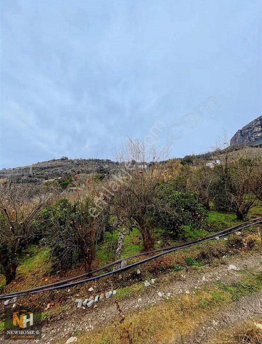 Yenişehir Uzunkaş Mah.de 3818m2 Tek Tapu Bahçe - Görsel 3