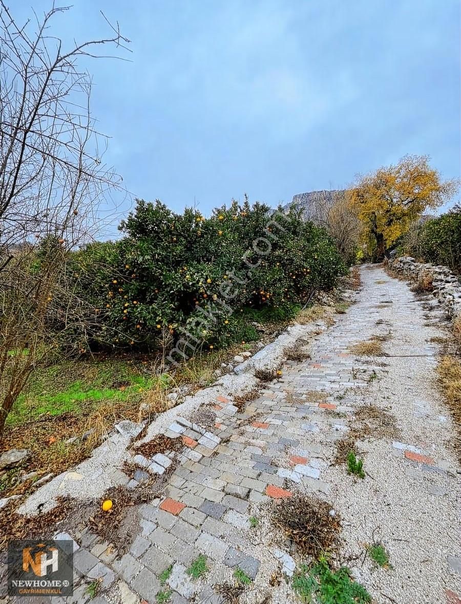 Yenişehir Uzunkaş Mah.de 3818m2 Tek Tapu Bahçe - Görsel 6